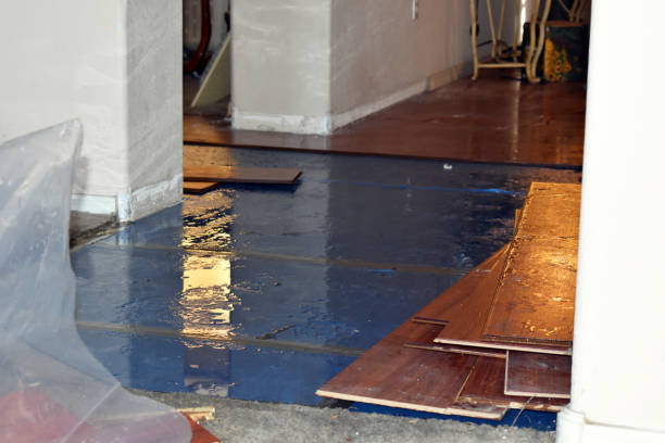 Professional Sewage Cleanup technician working in Saline, MI