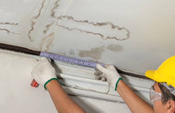 Reliable Sewage Cleanup contractor in Saline, MI by Water Damage Irwin